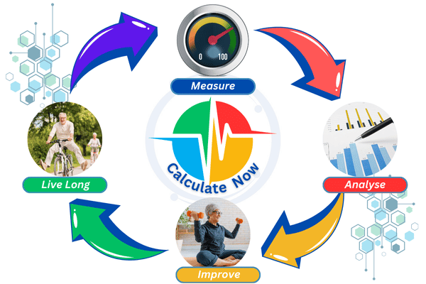 Life-expectancy-calculator-life-cycle